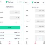 二开版多语言贷款秒U系统/usdt借贷授权贷款盗U源码